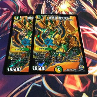 Golden-eyed Pola Squirrel