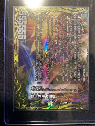 The New World King's Fighting Spirit｜Volzeos-Balamord (bottom)