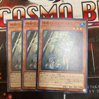 Crusadia Arboria Normal 3 pieces