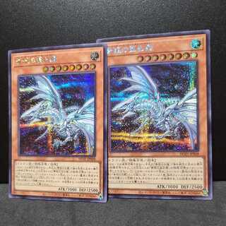 Blue-Eyes Alternative White Dragon [Secret].