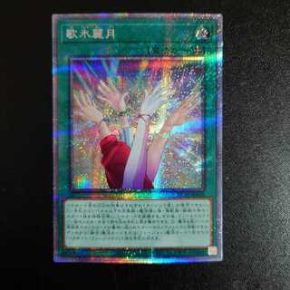 Japanese beautyberry (Callicarpa japonica)