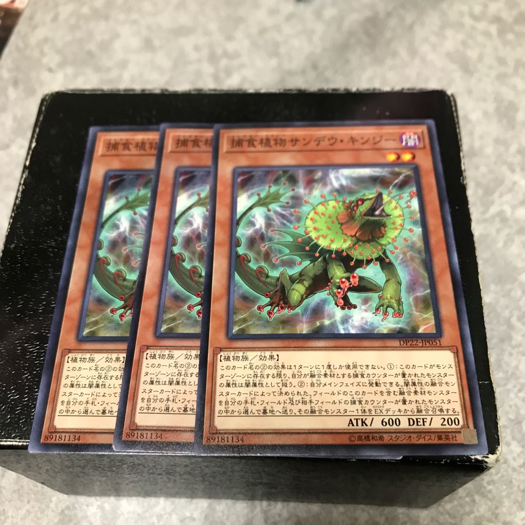 3 normal Predaplant Chlamydosundew