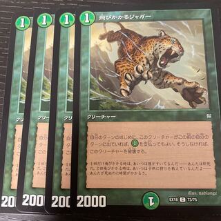 Pouncing Jaguar 4-piece set