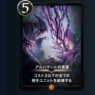 1262544187様専用 ２枚セット アルハマートの黒雷