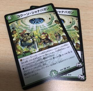 コクーン・シャナバガン