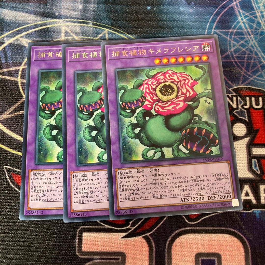 Predaplant Chimerafflesia Rare 3pcs Special Price