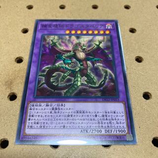 Predaplant Dragostapelia Normal