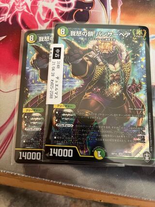 我怒の鎖 パンサーベア 2枚