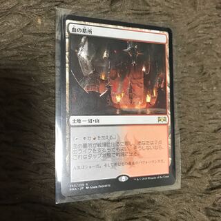 血の墓所 日本語版 RNA