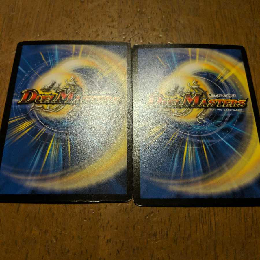 獅子王の遺跡 2枚