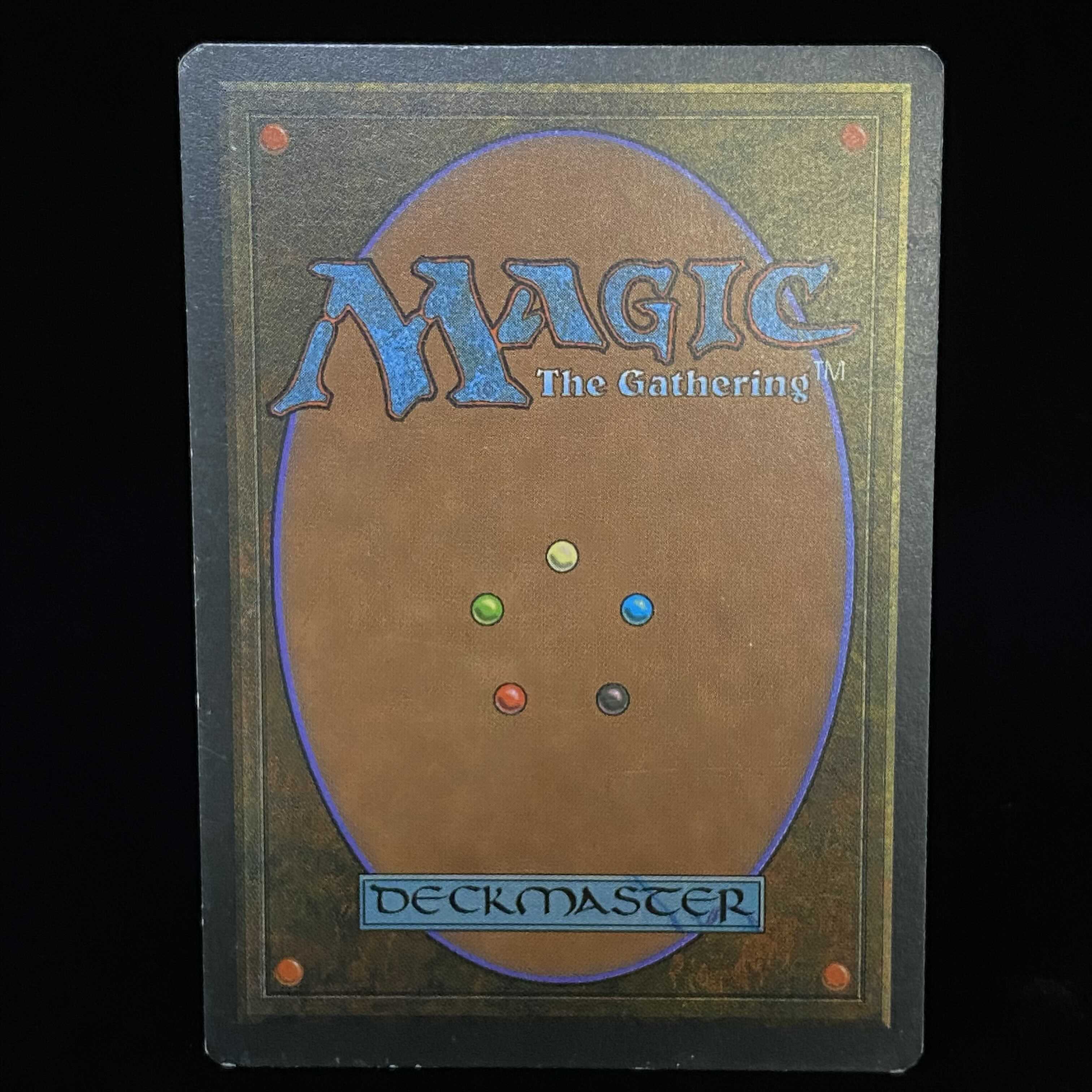 English version Savannah