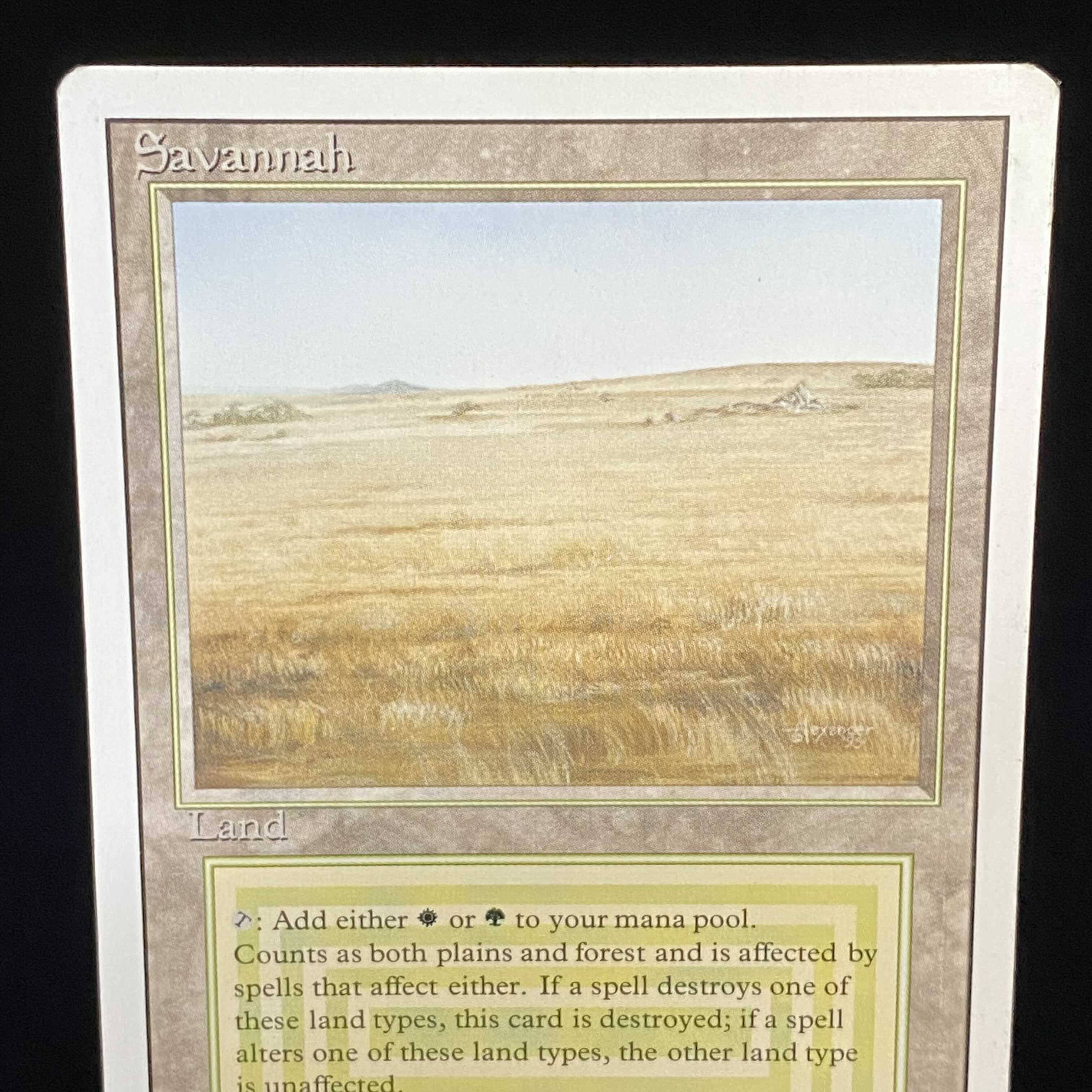 English version Savannah