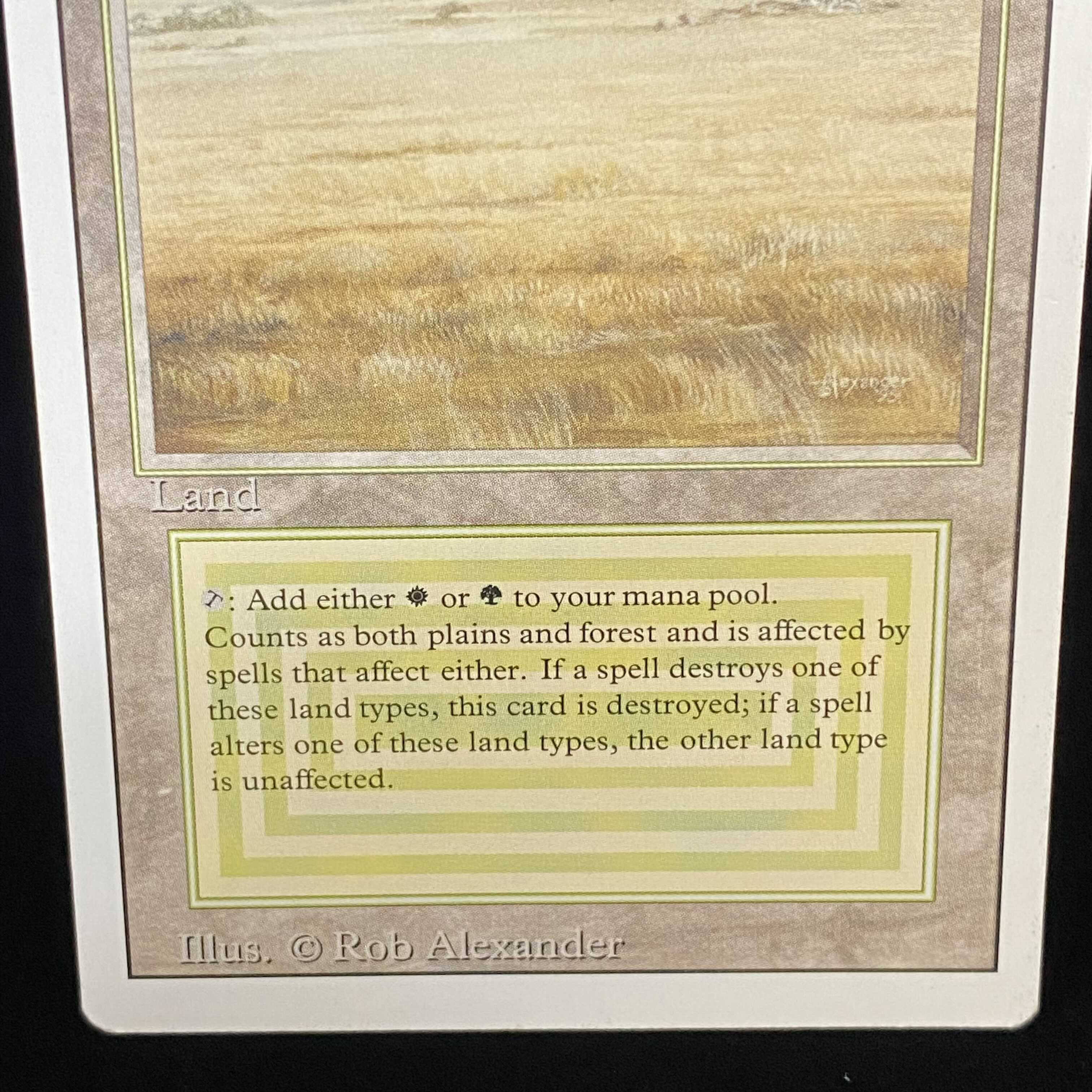 English version Savannah