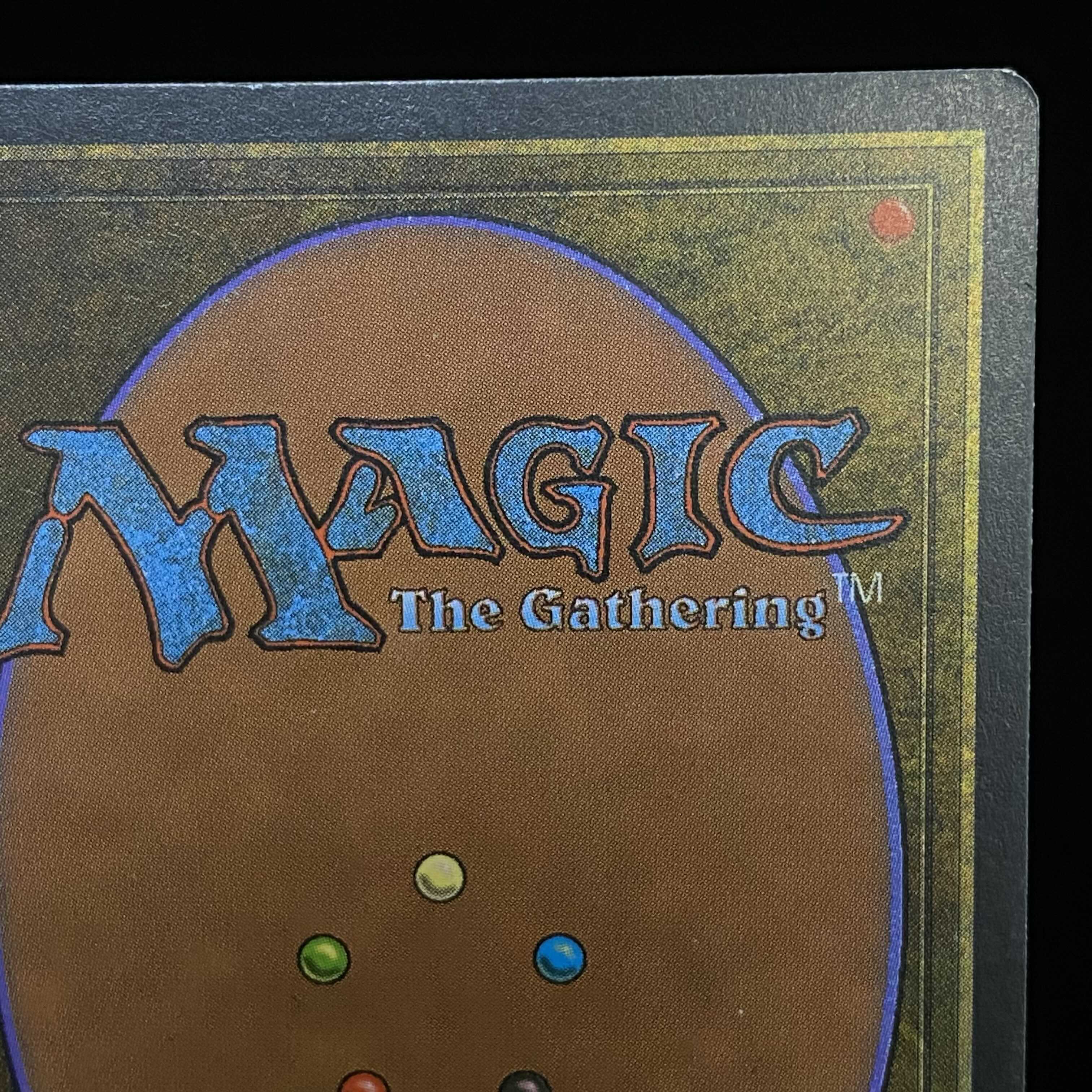 English version Savannah