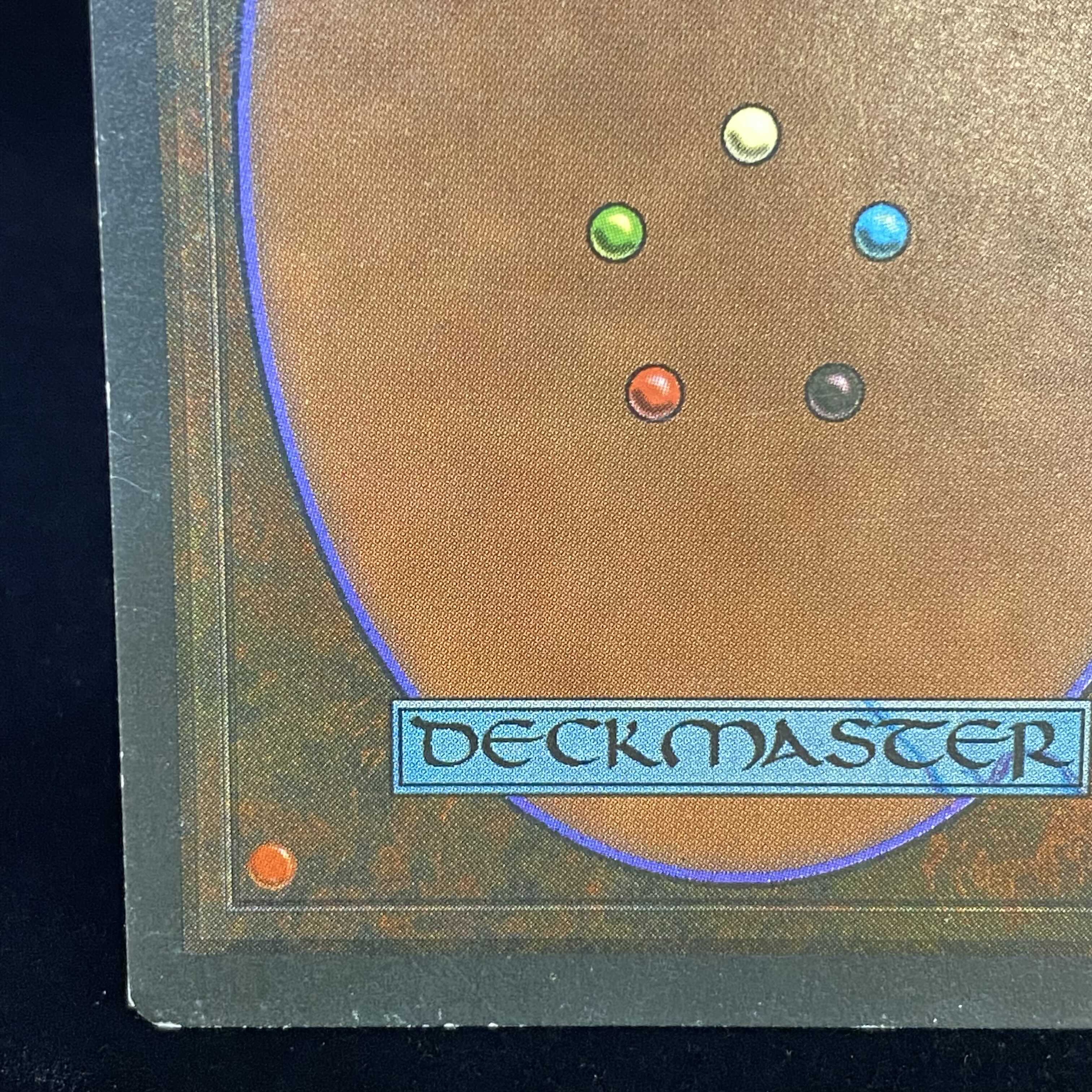 English version Savannah