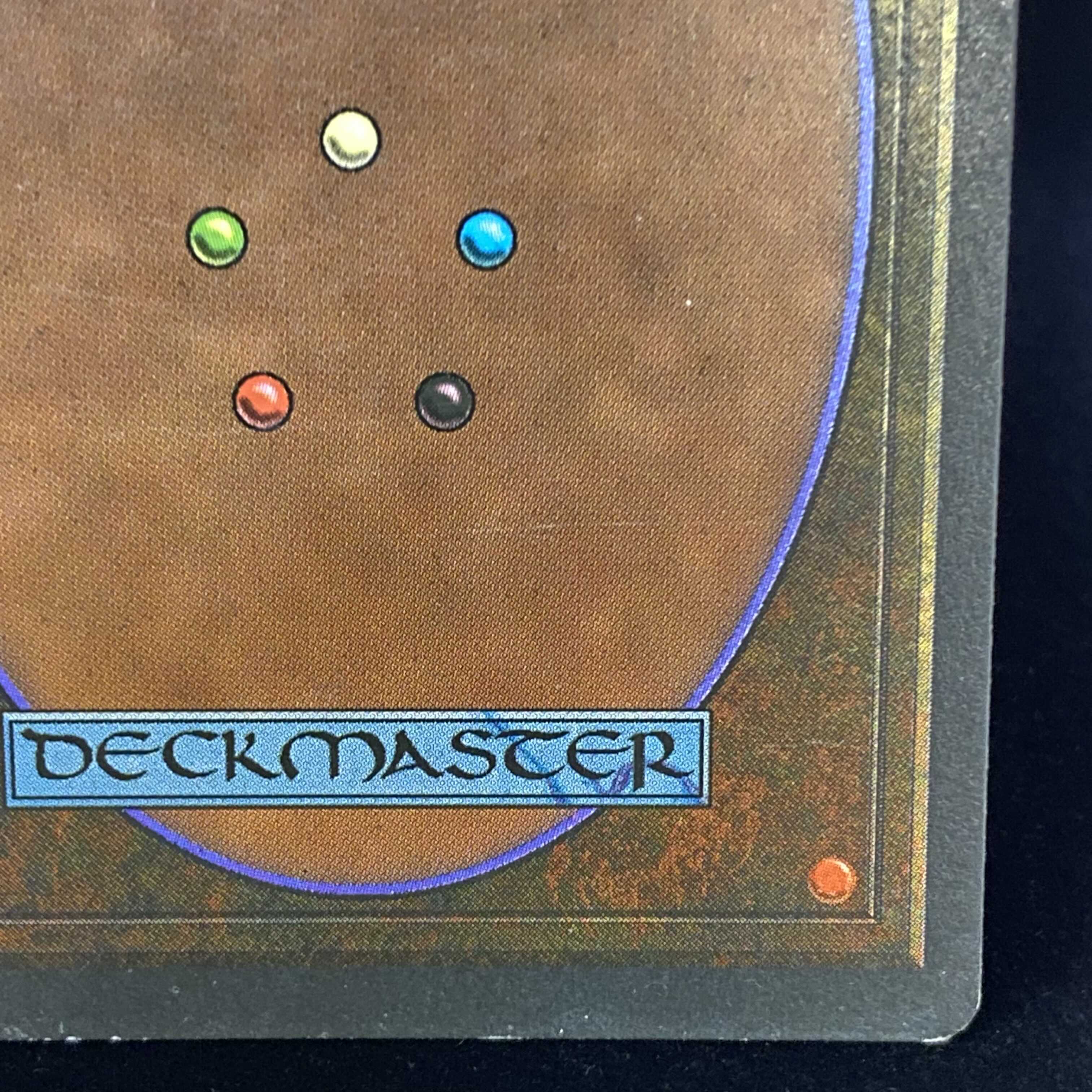 English version Savannah