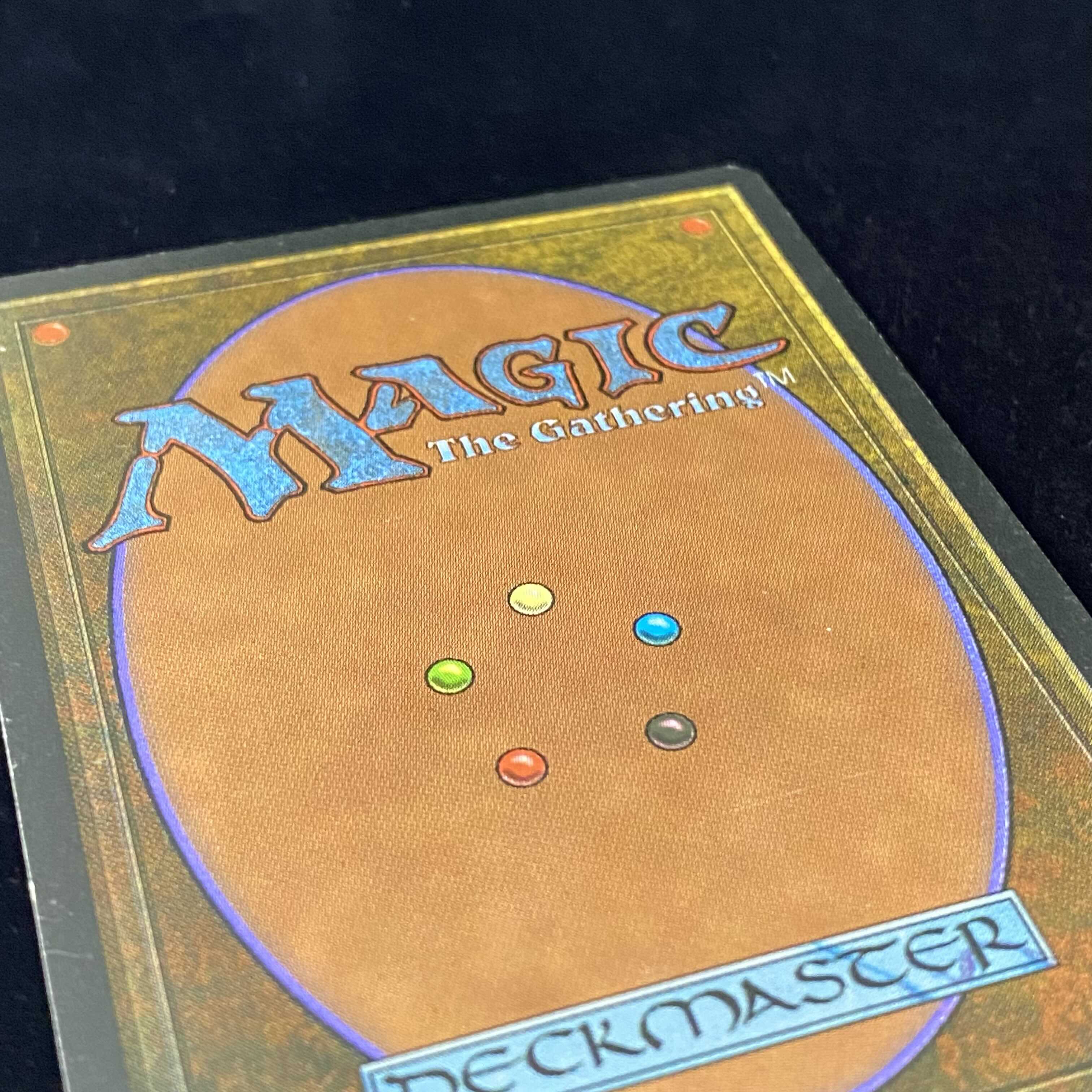 English version Savannah