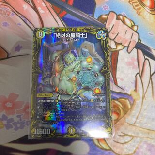 「絶対の楯騎士」