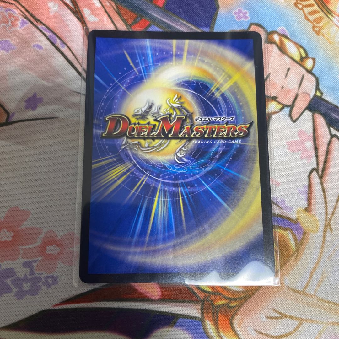 "Knight of the Absolute Shield."