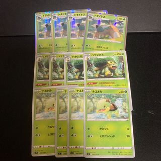 Torterra Grotle Evolution Line Set