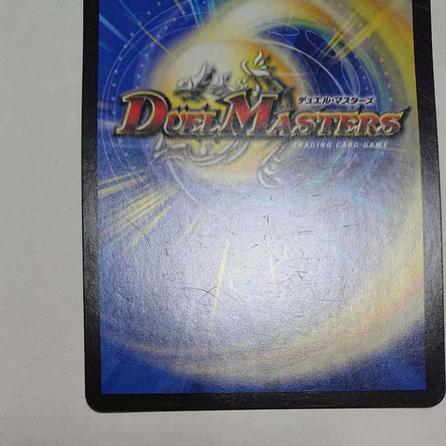 【特価】我怒の鎖　パンサーベア　４枚セット