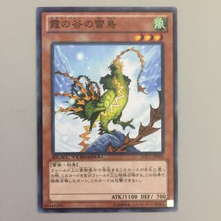 霞の谷の雷鳥 DTC ノーパラ