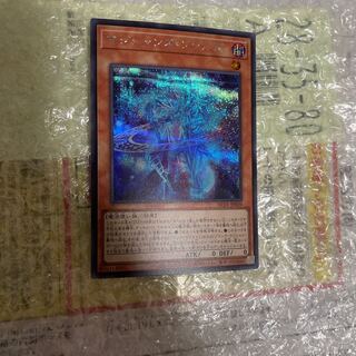 Dedicated Magicians' Souls Secret Rare