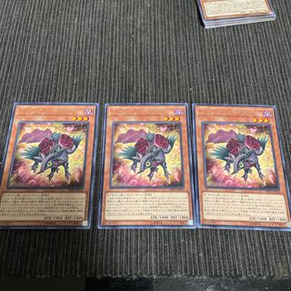 Red Rose Dragon Rare