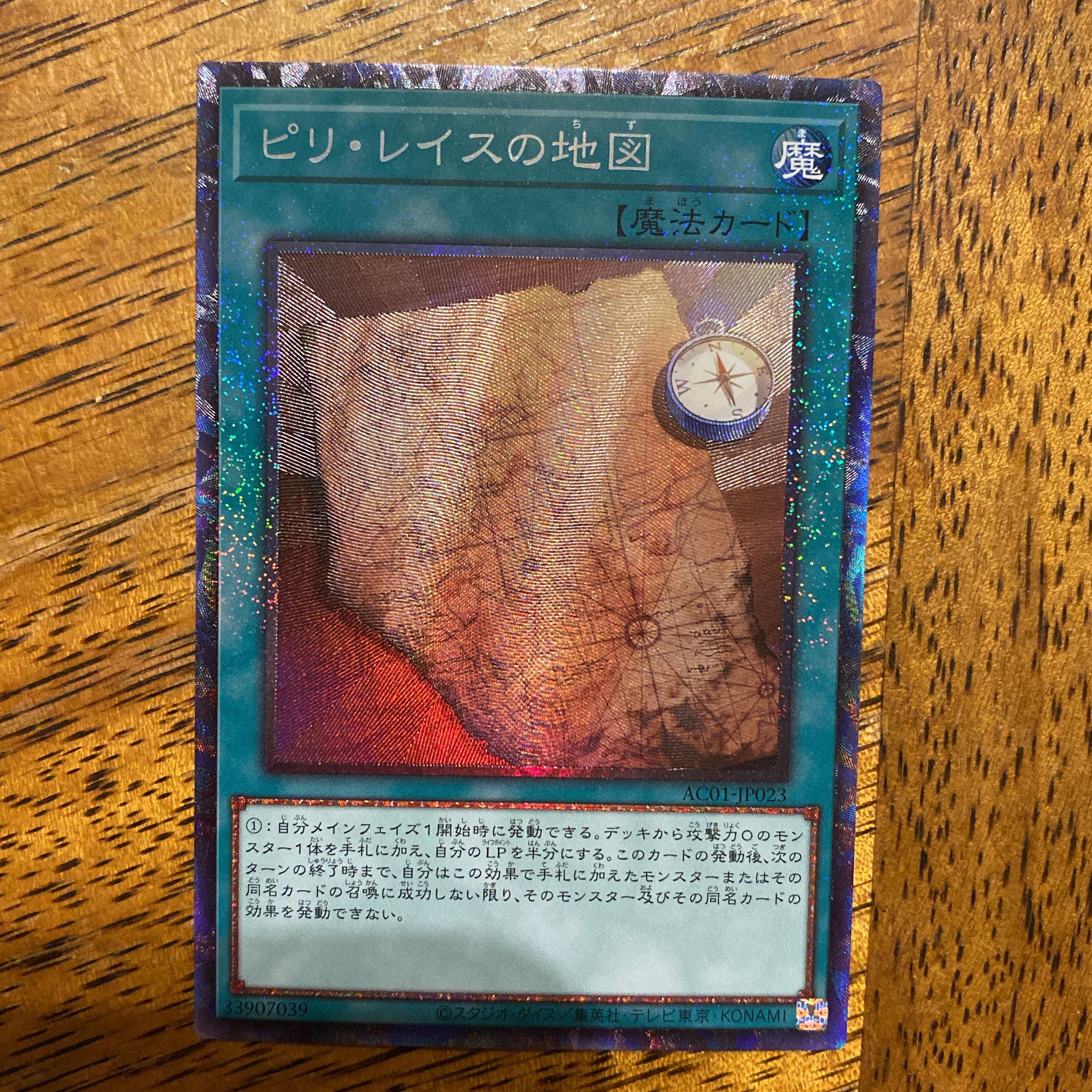 Piri Reis Map Collector's Rare