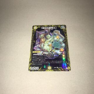 Absolute shield knight" (20th rare specification)