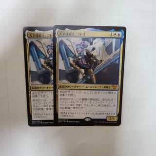 Genius pilot, Kotori.