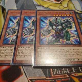 【願い事】ダイナレスラーパンクラトプス 3枚