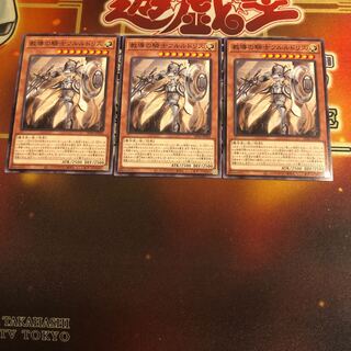 教導の騎士フルルドリス　ノーマル　3枚