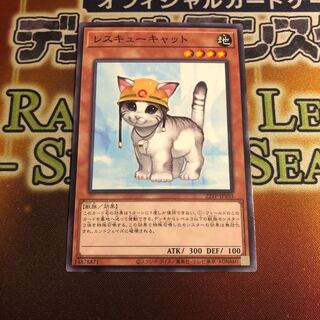 Rescue Cat Normal 22TP