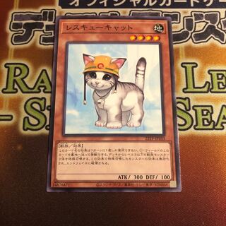 Rescue Cat Normal 22TP