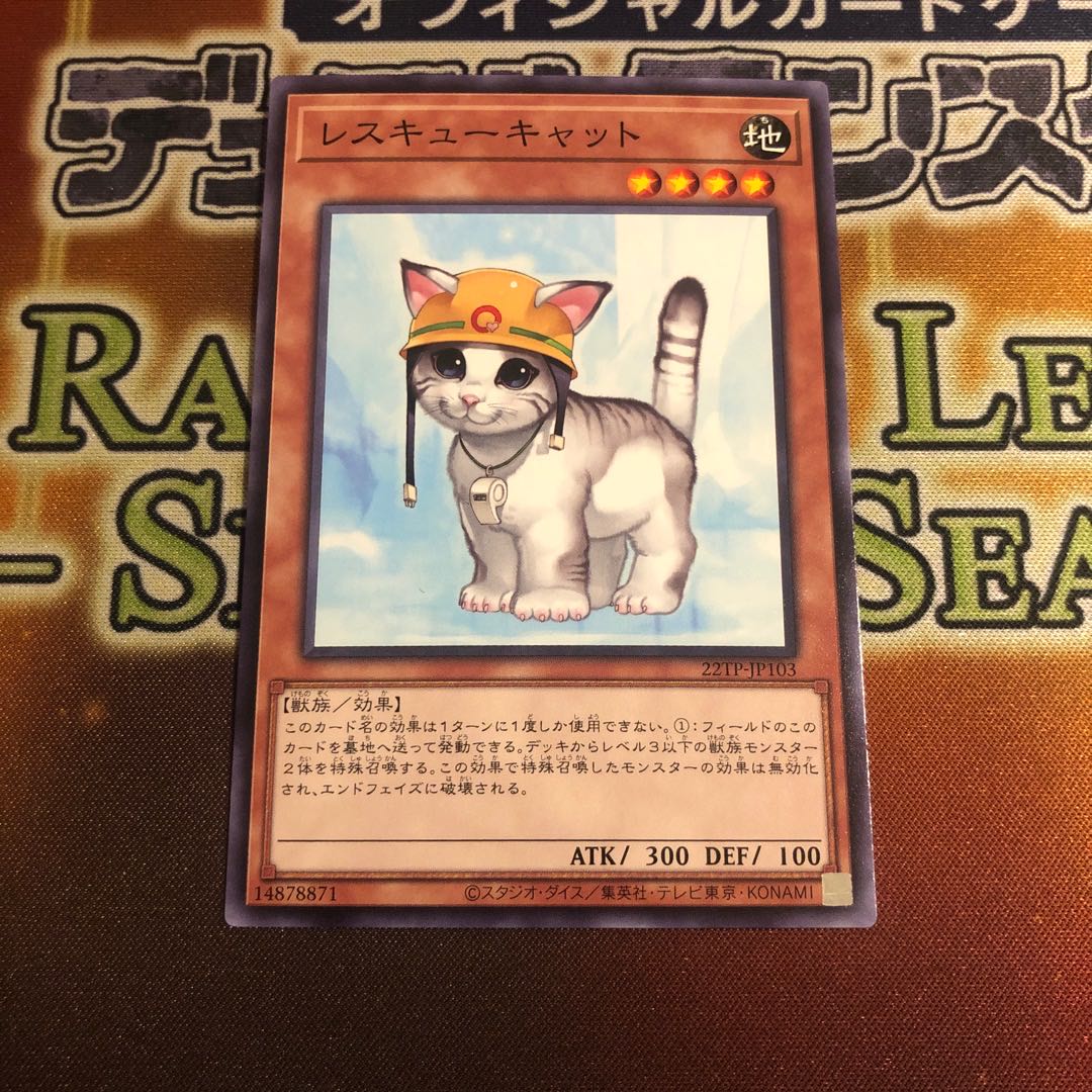 Rescue Cat Normal 22TP