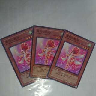 薔薇の妖精 ノーマル