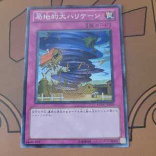 局地的大ハリケーン ノーマルレア