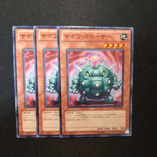 Cactus Bouncer Normal