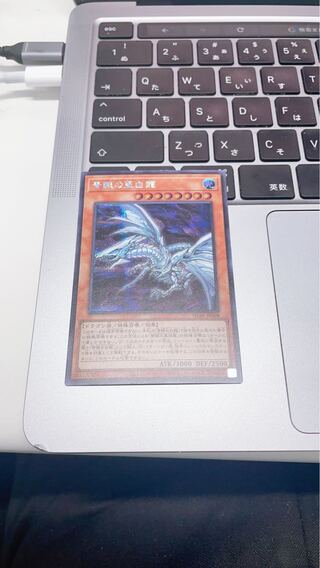 Blue-Eyes Alternative White Dragon Secret Rare