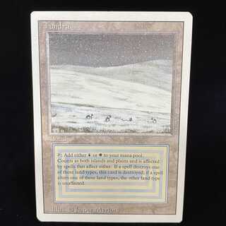 English version of Tundra