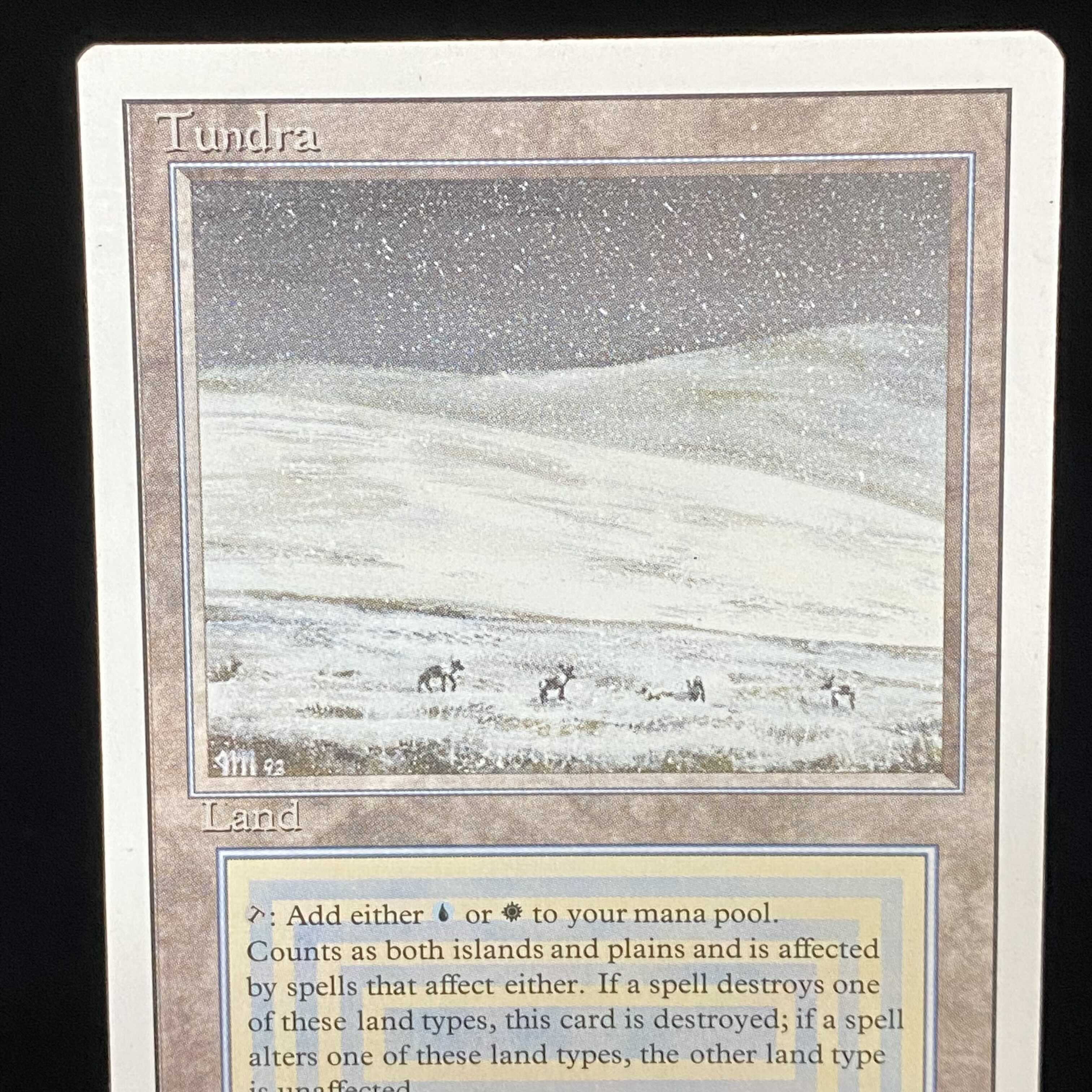 English version of Tundra