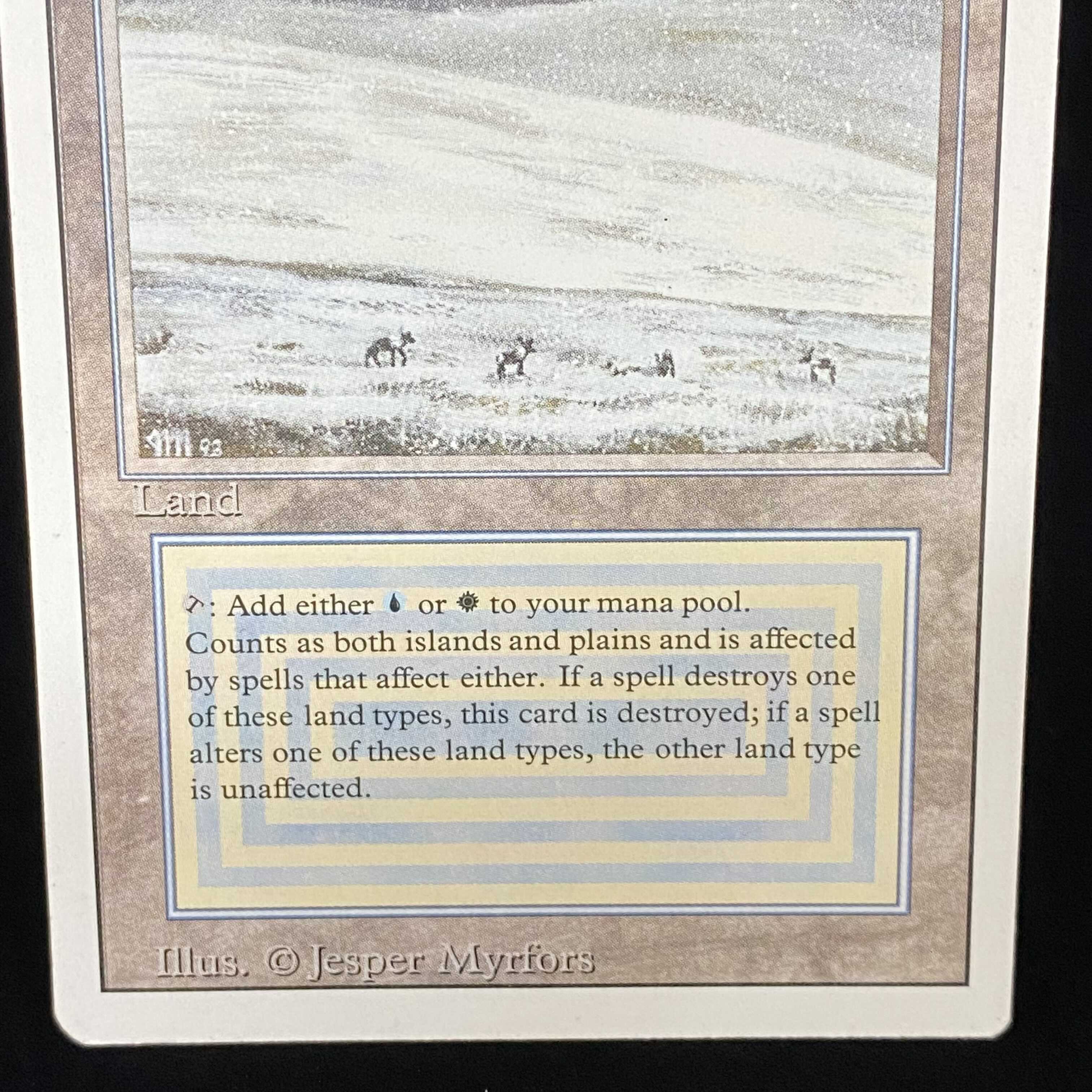 English version of Tundra