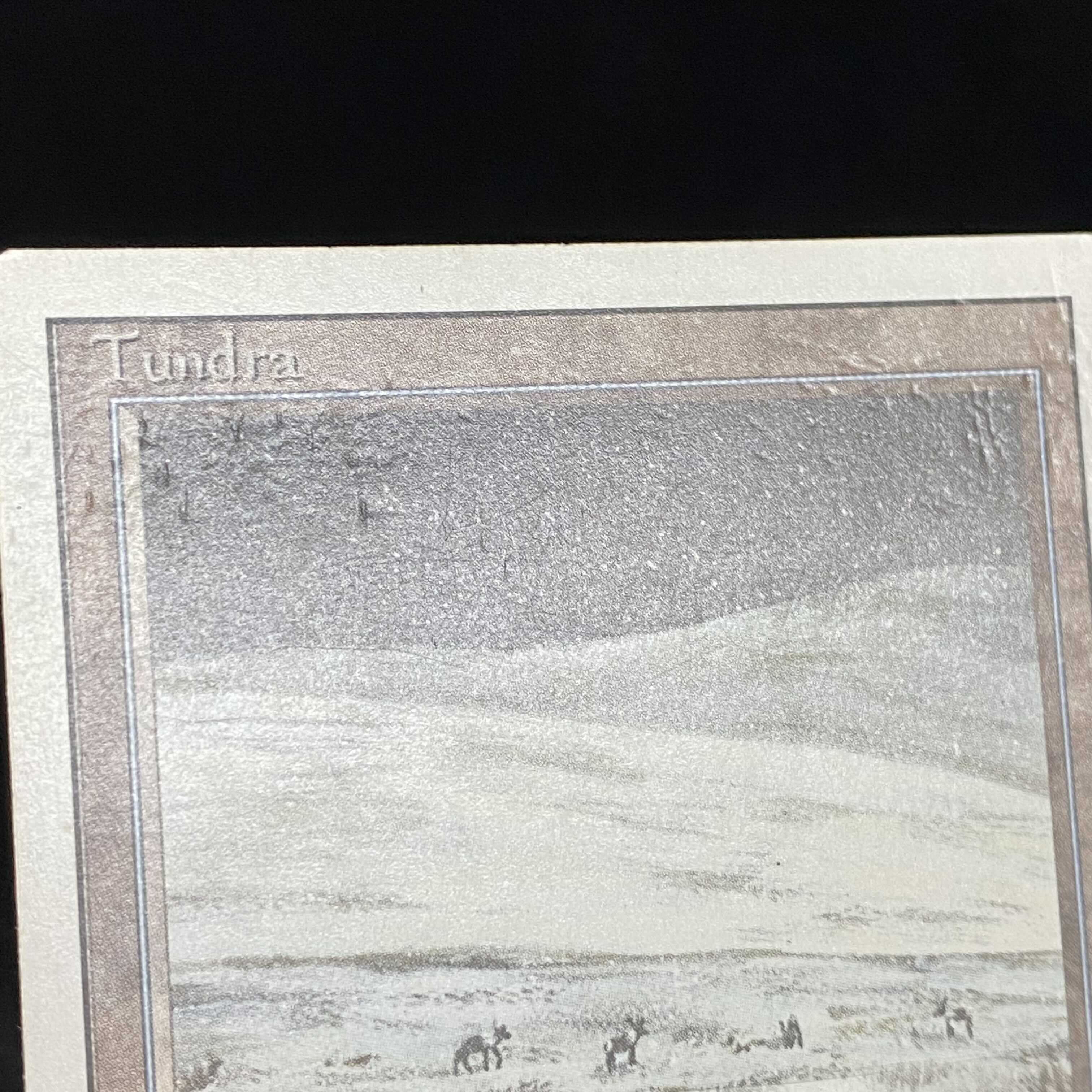 English version of Tundra