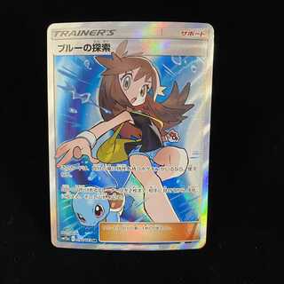 ブルーの探索 SR 196/173