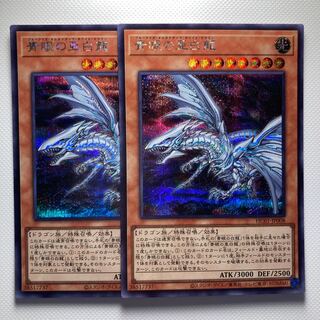Blue-Eyes Alternative White Dragon☆6189