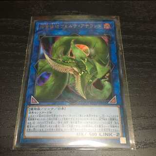 最安値！捕食植物ヴェルテアナコンダ ウルトラ