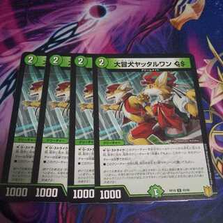 Daoqi dog Yatalwan GS C