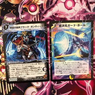 ブラックガンヴィート、超次元ガードホール