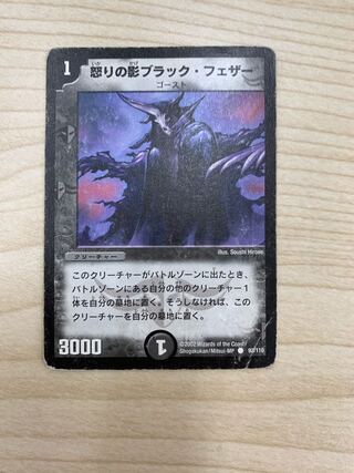 Black Feather, Shadow of Rage